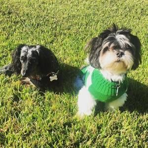 Meet your Posher, Tim